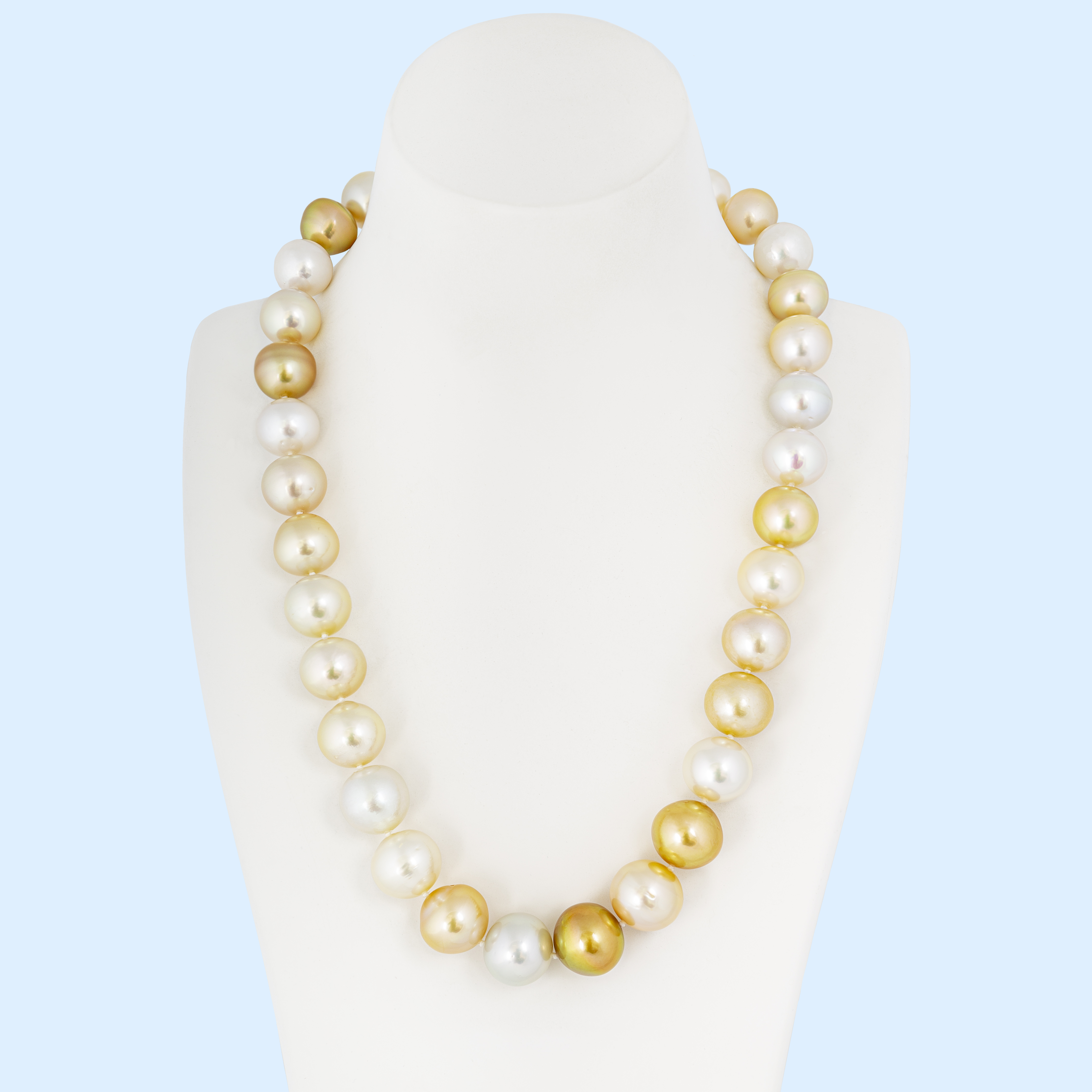 Gold - White South Sea Pearl Strand